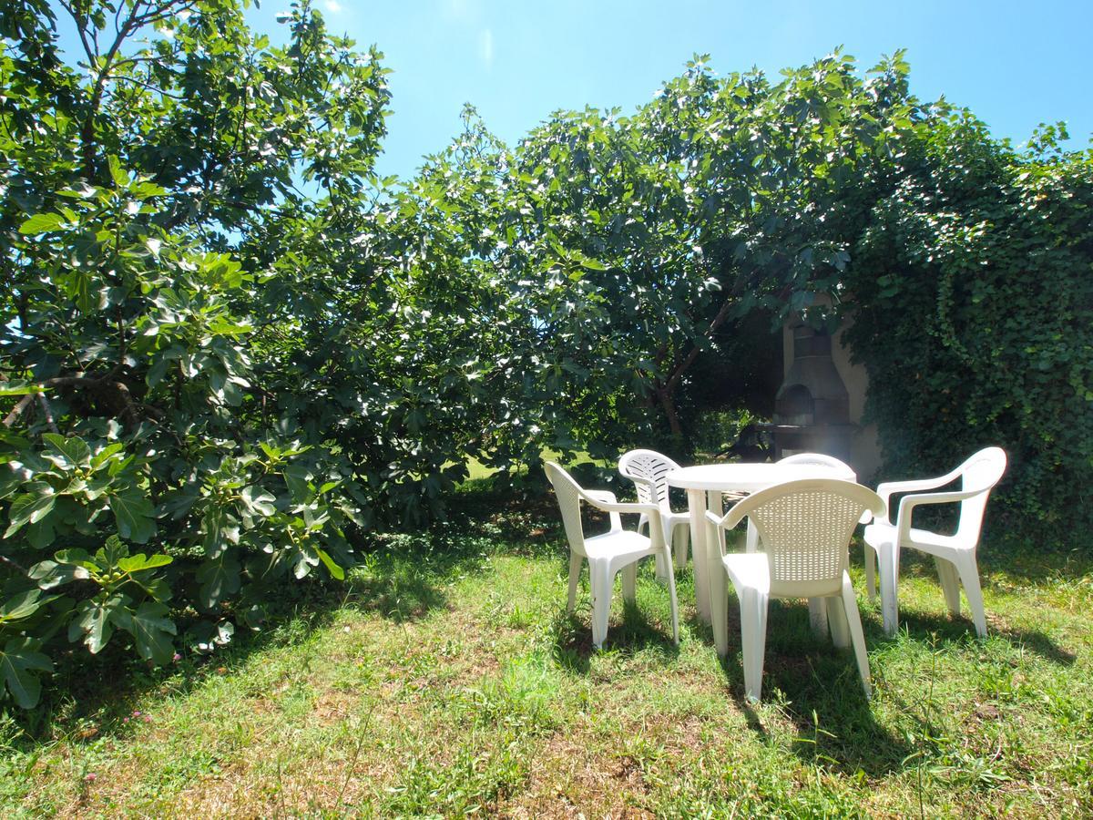 Apartments Josip 74 Πούλα Εξωτερικό φωτογραφία